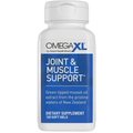 Joint Support Supplement with Green Lipped Mussel Oil – Daily Mobility & Muscle Wellness | 120 Softgels
